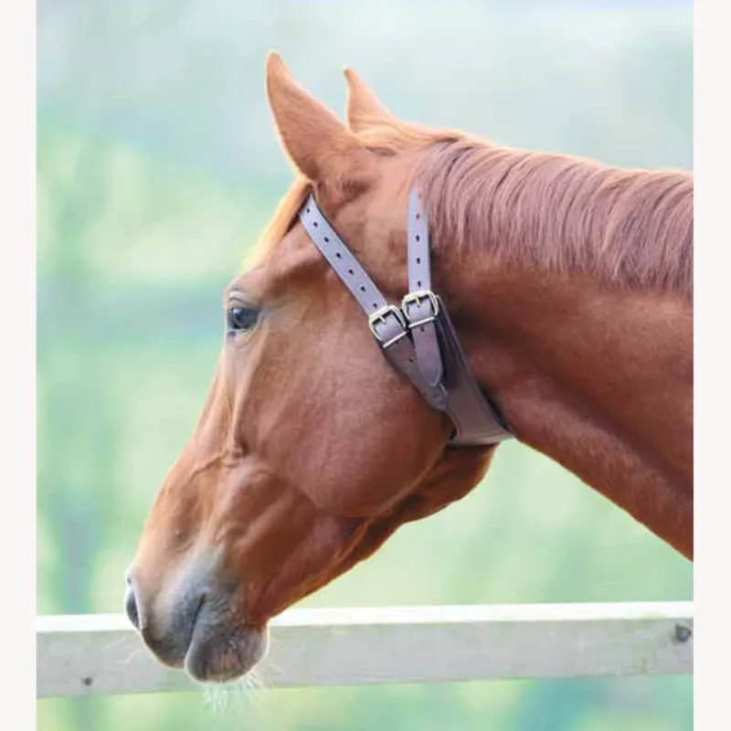 Shires Anti-crib Collar - Australian Nut